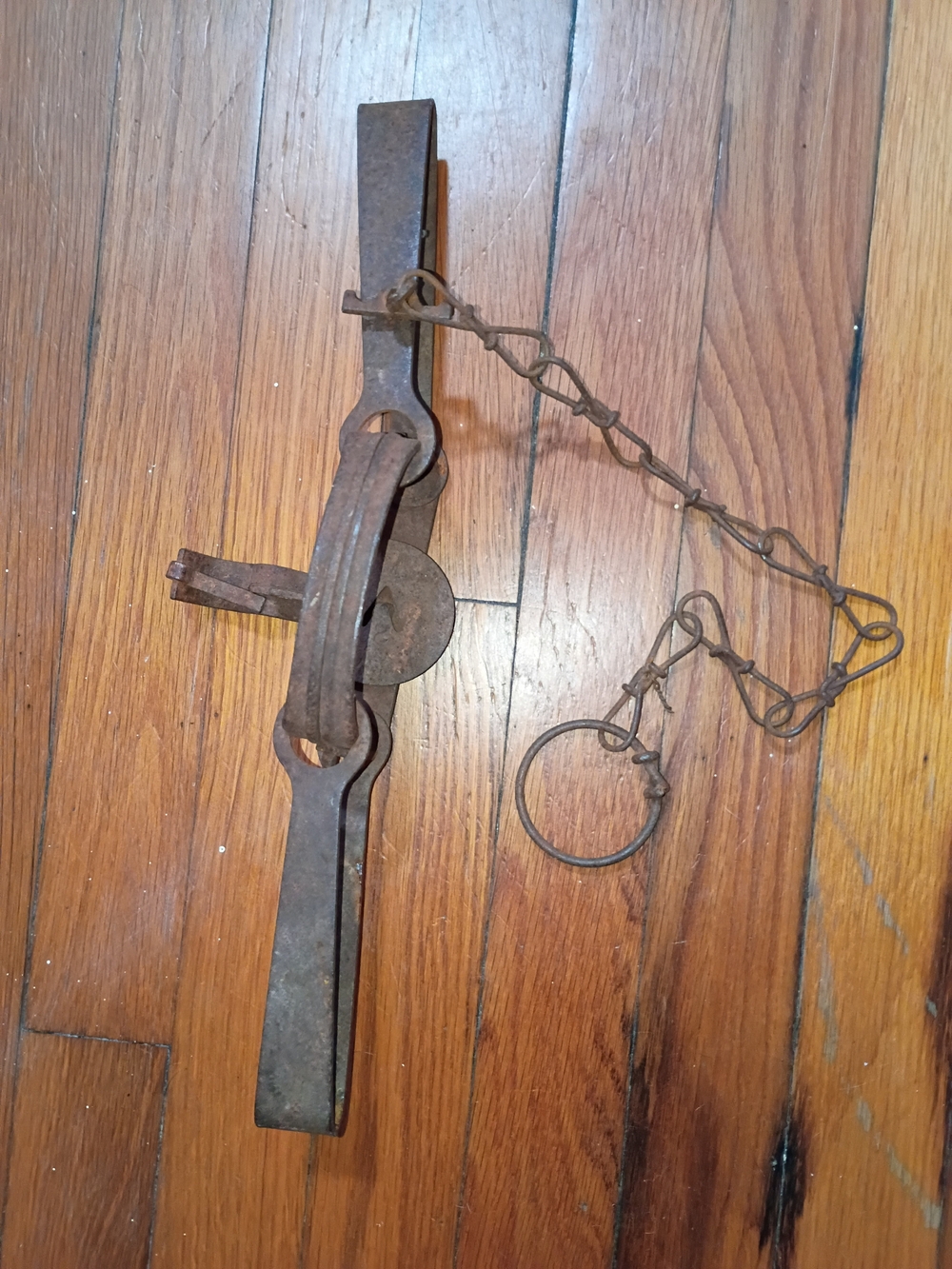 Vintage Primitive Cast Iron Trap - Brown